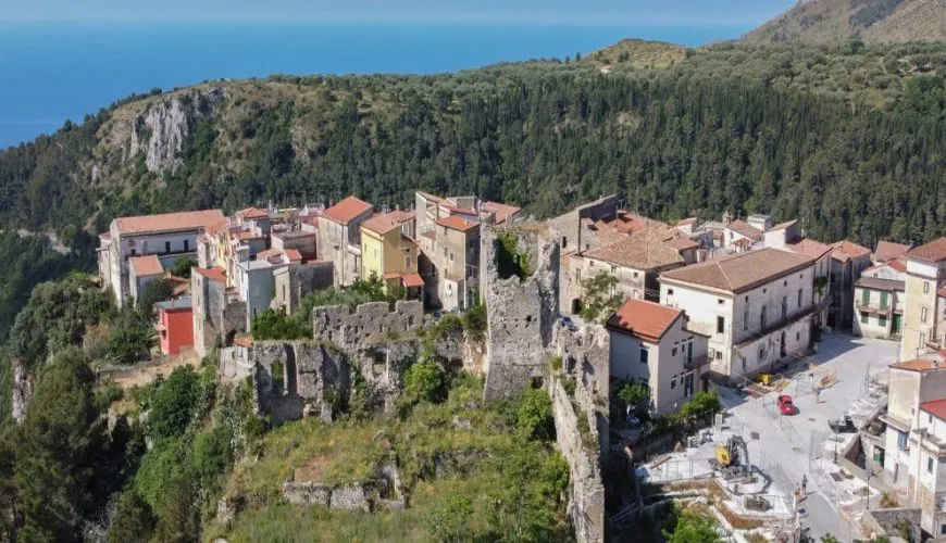 A look at Camerota