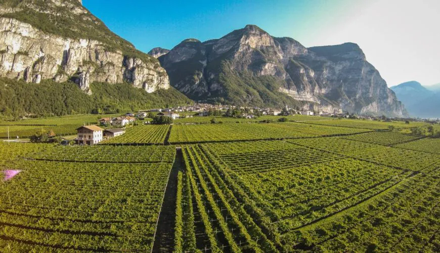Traveling in the heart of Trentino, among villages, history and viticulture
