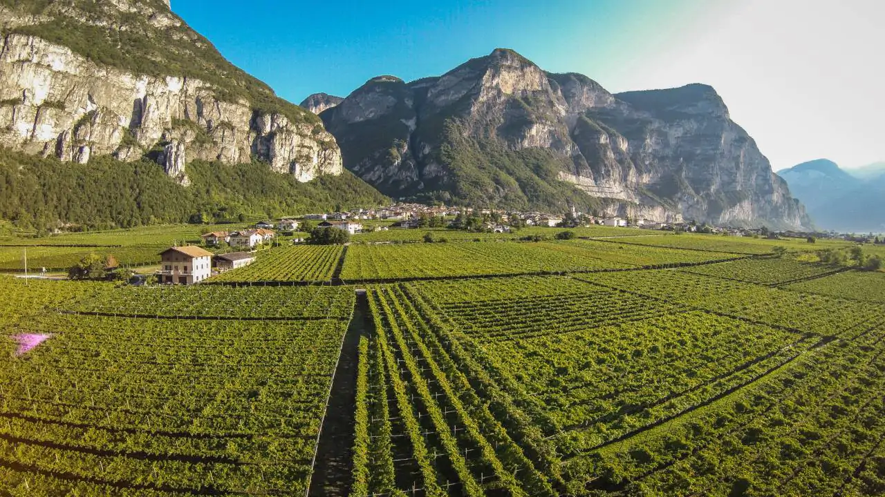 Traveling in the heart of Trentino, among villages, history and viticulture