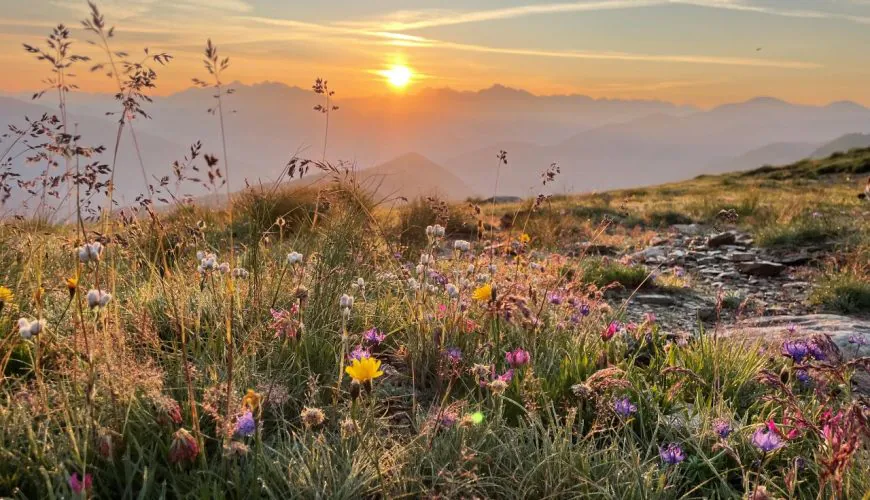 Enjoying the most beautiful moment of the day: Sunrise at Passo Giovo