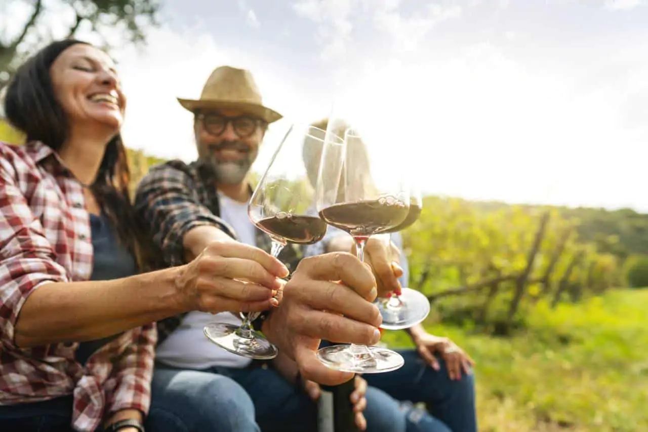 Wine, grappa and emotions: live experiences in Piana Rotaliana Königsberg