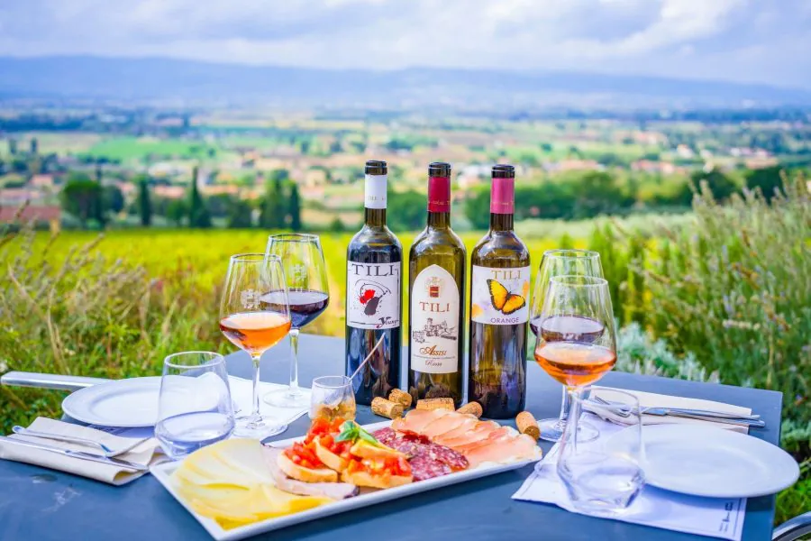 Tasting with a View of the Assisi Valley