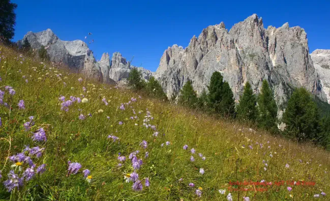 One-day tour of the Dolomites departing from Lake Garda