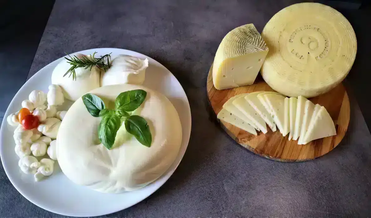 Pecorino Crotonese Dop: l’eccellenza calabrese tra storia, premi e sapori autentici