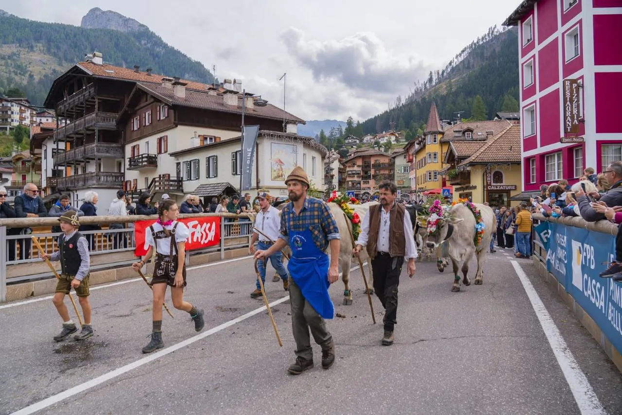 Festival del Puzzone di Moena 2025.jpg