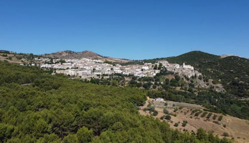 a town on a hill